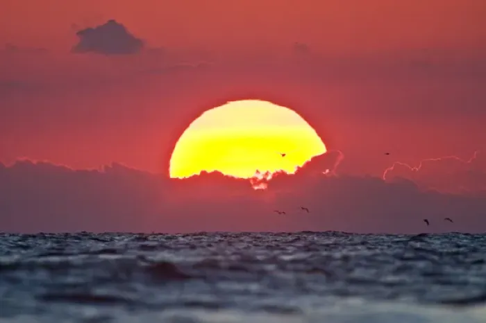 Framed Print : Sunrise on the Gulf of Mexico at South Padre Island, Texas with brown pelicans flying