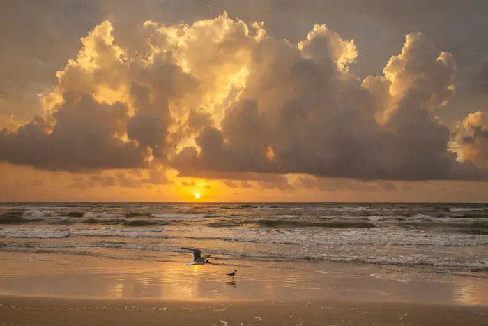 Framed Print : Sunrise on Gulf of Mexico at South Padre Island Framed Print : Sunrise on Gulf of Mexico at South Padre Island