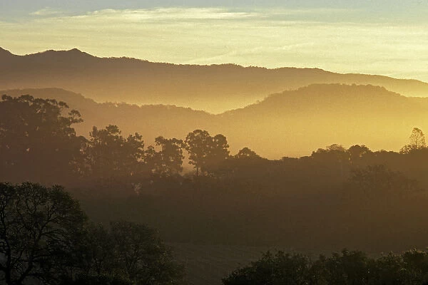 Sunrise over the hills above Napa Valley near Rutherford, Napa County, California, U. S. A