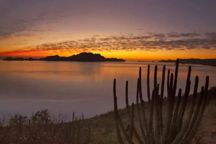 Framed Print : The sunrise over Isla Danzante in the Gulf of California from near Loreto Mexico Framed Print : The sunrise over Isla Danzante in the Gulf of California from near Loreto Mexico