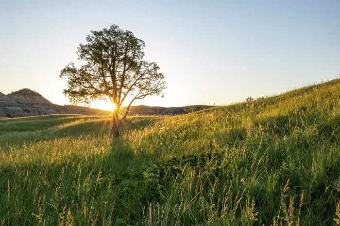 Framed Print : Sunrise in the Jones Creek area in Theodore Roosevelt National Park, North Dakota, USA. (Editorial Use Only)