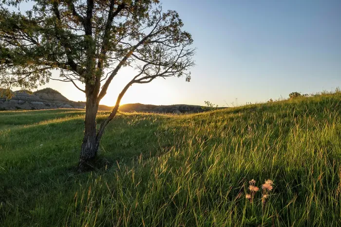 Framed Print : Sunrise in the Jones Creek area in Theodore Roosevelt National Park, North Dakota, USA. (Editorial Use Only) Framed Print : Sunrise in the Jones Creek area in Theodore Roosevelt National Park, North Dakota, USA. (Editorial Use Only)