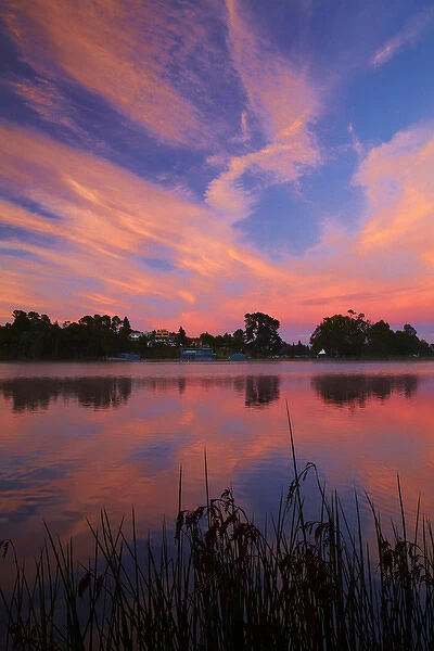 Sunrise over Lake Rotoroa, Hamilton, Waikato, North Island, New Zealand