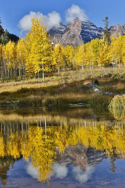 Sunrise Marron Bells autumn colors on aspens with pond reflection