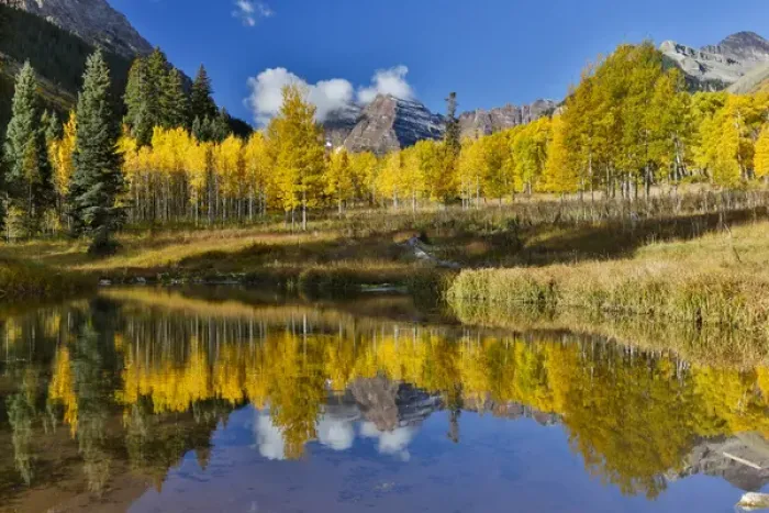 Framed Print : Sunrise Marron Bells autumn colors on aspens with pond reflection Framed Print : Sunrise Marron Bells autumn colors on aspens with pond reflection