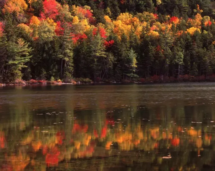 Framed Print : Sunrise Pond and fall foliage, Borestone Mt. Wildlife Sanctuary, Elliotsville Plantation