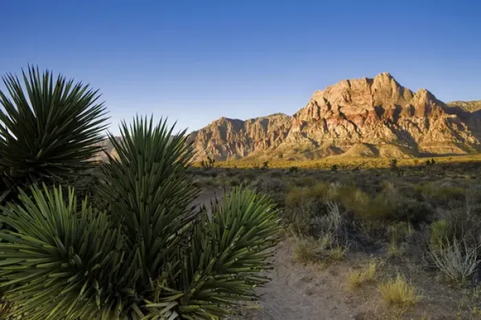 Framed Print : Sunrise over Red rock canyon, NV Framed Print : Sunrise over Red rock canyon, NV