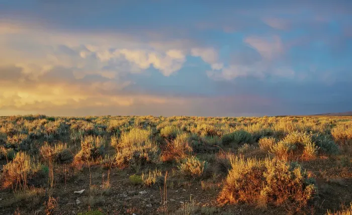 Framed Print : Sunrise over the sage brush landscape of Colorado's sand Wash Basin