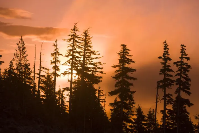 Framed Print : Sunrise scenic views near Timberline lodge, Lolo Pass, Mt. Hood Wilderness Area, Oregon