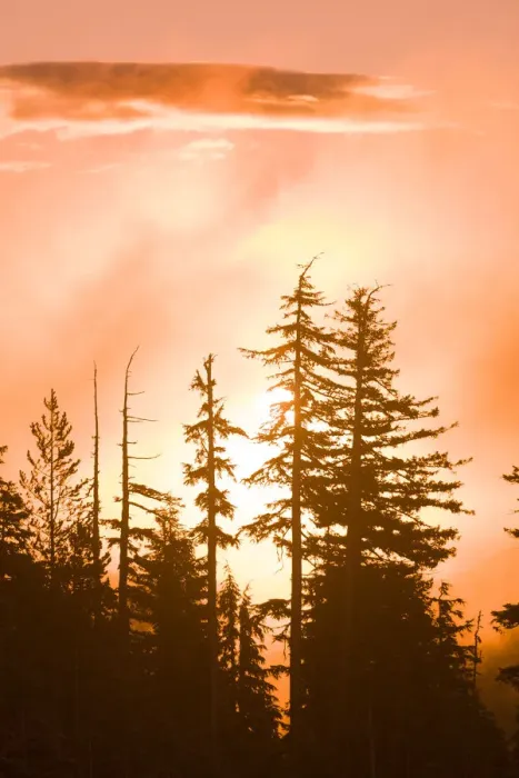 Framed Print : Sunrise scenic views near Timberline Lodge, Lolo Pass, Mt. Hood Wilderness Area, Oregon