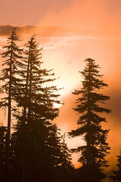 Sunrise scenic views near Timberline Lodge, Lolo Pass, Mt. Hood Wilderness Area, Oregon
