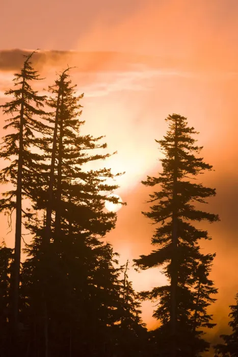 Framed Print : Sunrise scenic views near Timberline Lodge, Lolo Pass, Mt. Hood Wilderness Area, Oregon