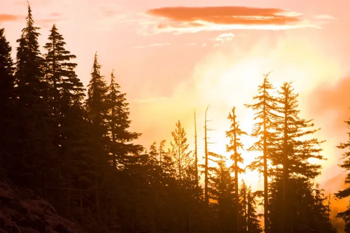 Framed Print : Sunrise scenic views near Timberline Lodge, Lolo Pass, Mt. Hood Wilderness Area, Oregon