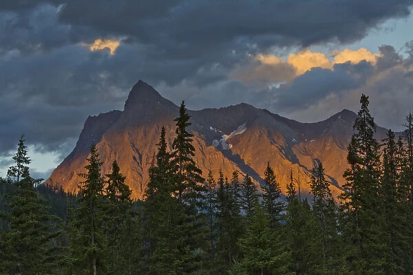 Sunset; alpenglow, from Kicking Horse River; Canadian Rockies; Yoho National Park