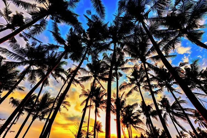 Framed Print : Sunset in Bali, Indonesia, a tropical paradise Framed Print : Sunset in Bali, Indonesia, a tropical paradise