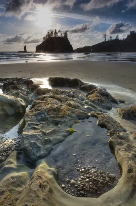 Framed Print : Sunset and beach. Olympic National Park, Washington, US