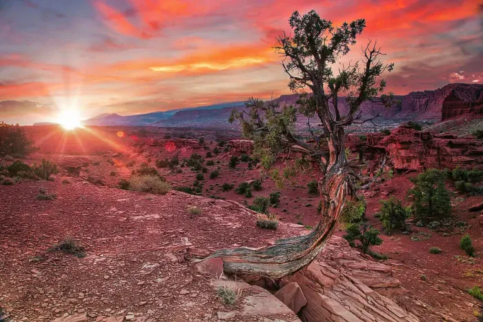 Framed Print : Sunset in Capitol Reef National Park Framed Print : Sunset in Capitol Reef National Park