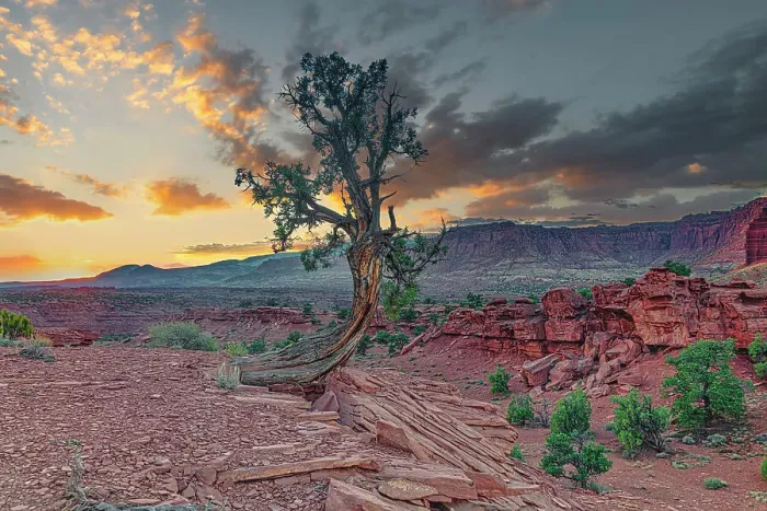 Framed Print : Sunset in Capitol Reef National Park