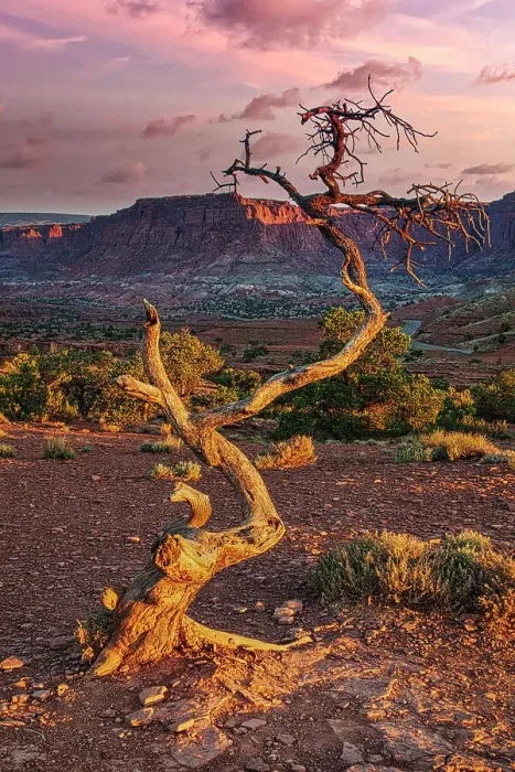 Framed Print : Sunset in Capitol Reef National Park Framed Print : Sunset in Capitol Reef National Park