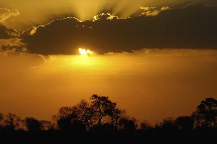 Framed Print : Sunset over the Delta. Okavango Delta. BOTSWANA. Southern Africa