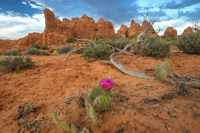 Framed Print : Sunset, Devil's Garden, Arches National Park, Utah, US Framed Print : Sunset, Devil's Garden, Arches National Park, Utah, US