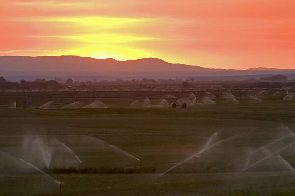 Sunset on farmland irrigation near Grandview, Idaho