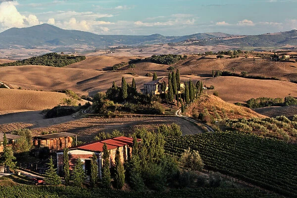 Sunset light on rolling agricultural hills of Tuscany after the harvest, San Quirico