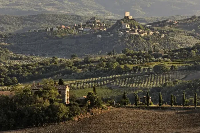 Framed Print : Sunset light on rolling agricultural hills of Tuscany after the harvest, San Quirico Framed Print : Sunset light on rolling agricultural hills of Tuscany after the harvest, San Quirico