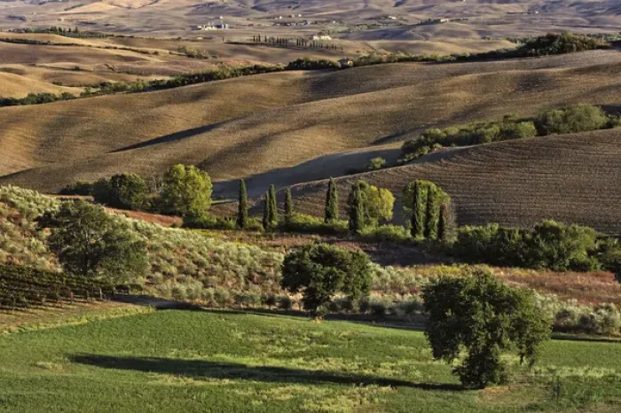 Framed Print : Sunset light on rolling agricultural hills of Tuscany after the harvest, San Quirico