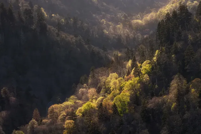 Framed Print : Sunset light on valley from Morton Overlook, Great Smoky Mountains National Park, Tennessee