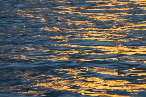 Sunset light on waters off Santa Cruz Island, Galapagos Islands, Ecuador