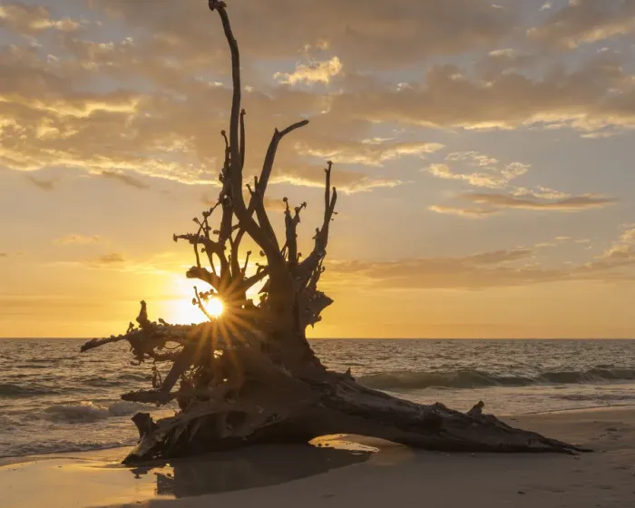 Framed Print : Sunset at Lovers Key State Park, Florida
