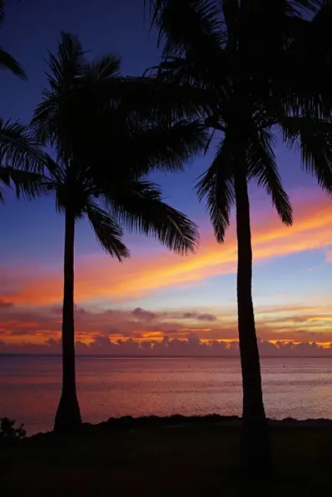 Framed Print : Sunset and palm trees, Coral Coast, Viti Levu, Fiji, South Pacific Framed Print : Sunset and palm trees, Coral Coast, Viti Levu, Fiji, South Pacific
