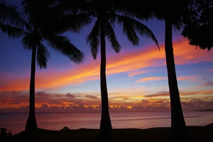 Framed Print : Sunset and palm trees, Coral Coast, Viti Levu, Fiji, South Pacific Framed Print : Sunset and palm trees, Coral Coast, Viti Levu, Fiji, South Pacific