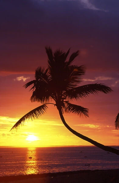 Sunset and Palm Trees, Coral Coast, Viti Levu, Fiji