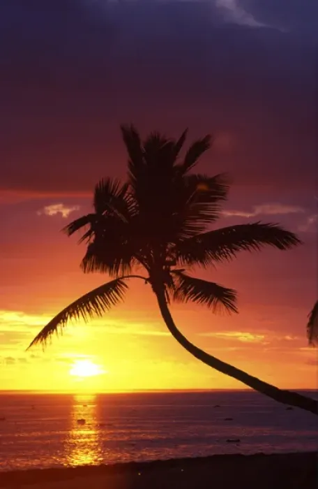 Framed Print : Sunset and Palm Trees, Coral Coast, Viti Levu, Fiji