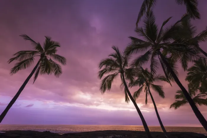 Framed Print : Sunset through palm trees at Pu uhonua o Honaunau National Historical Park (City of Refuge)