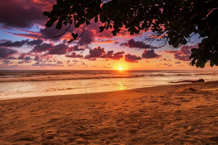 Framed Print : Sunset at Playa Matapalo, Puntarenas Province, Costa Rica Framed Print : Sunset at Playa Matapalo, Puntarenas Province, Costa Rica