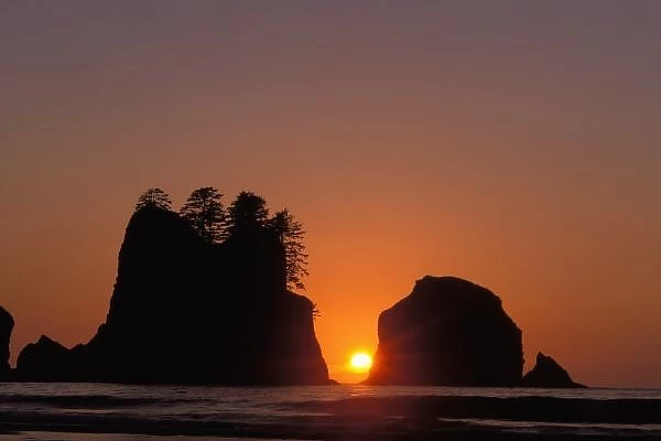 sunset at Point of the Arches along the Pacific coast in Olympic National Park, Washington