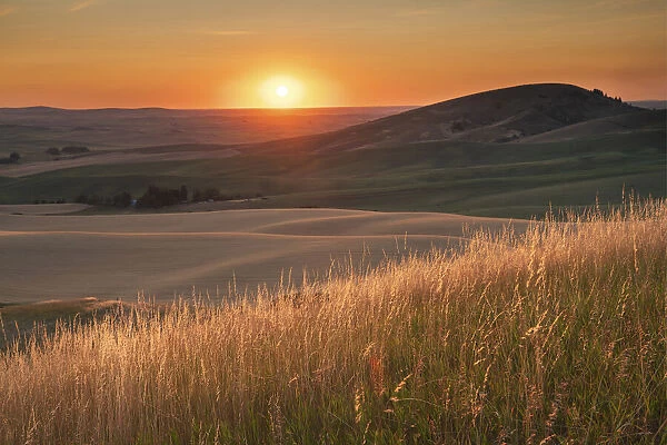 Sunset over rolling hills and farmland of Palouse Region, Washington State