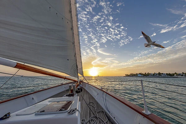 Sunset sail on schooner America 2. 0 in Key West, Florida, USA