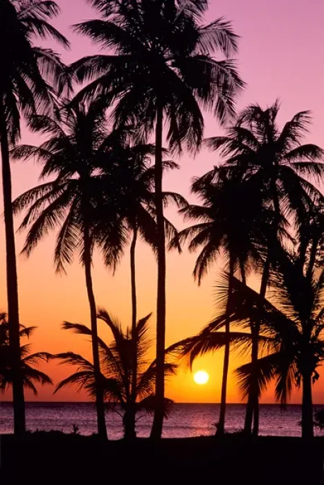 Framed Print : Sunset in the Saint Anne area on the island of Martinique in the Caribbean Sea Framed Print : Sunset in the Saint Anne area on the island of Martinique in the Caribbean Sea