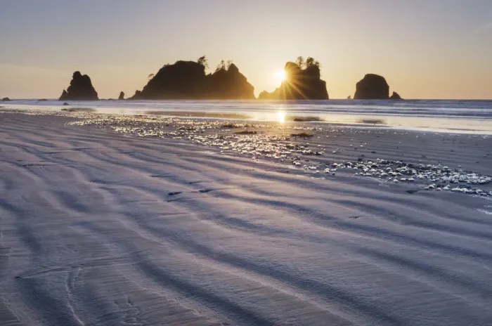 Framed Print : Sunset on Shi Shi Beach, sea stacks of Point of the Arches are in the distance Framed Print : Sunset on Shi Shi Beach, sea stacks of Point of the Arches are in the distance
