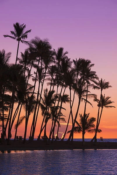 Sunset through silhouetted palms at Anaeho omalu Bay, Kohala Coast, Big Island