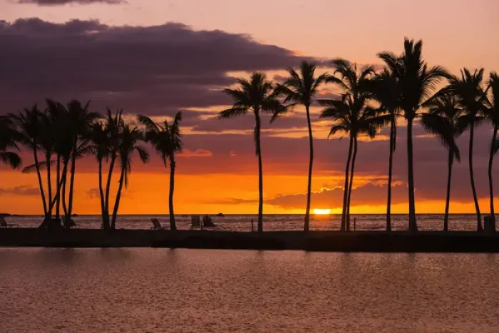 Framed Print : Sunset through silhouetted palms at Anaehoomalu Bay, Kohala Coast, The Big Island