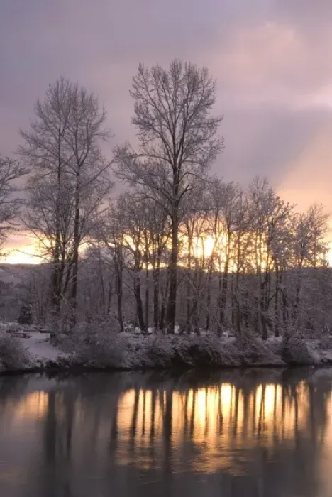 Framed Print : Sunset behind snow dusted trees reflecting in the Snoqualmie River, Washington