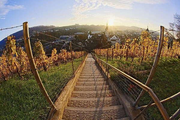Sunset from stairs through vineyard, Munot Castle, Schaffhausen, Swizterland