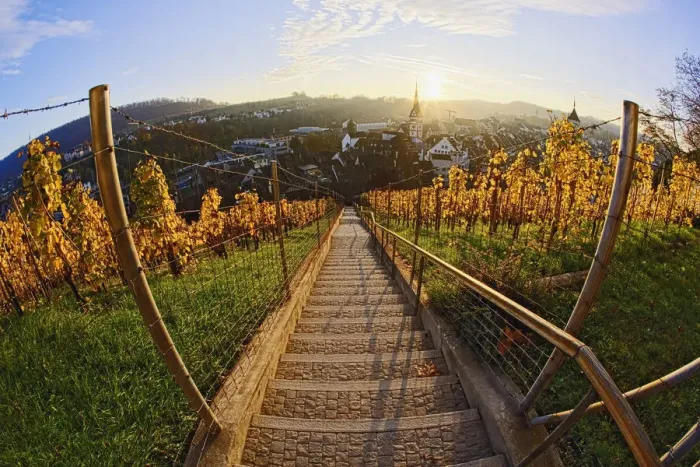 Framed Print : Sunset from stairs through vineyard, Munot Castle, Schaffhausen, Swizterland Framed Print : Sunset from stairs through vineyard, Munot Castle, Schaffhausen, Swizterland