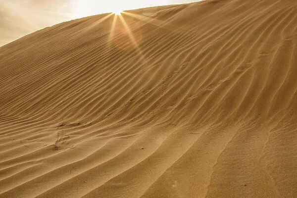 Sunset with Sunburst. Desert with sand. Abu Dhabi, United Arab Emirates