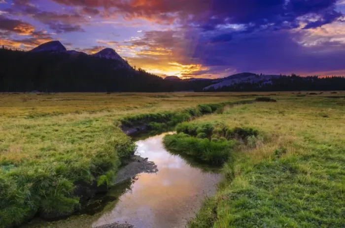 Framed Print : Sunset over Tuolumne Meadows along Budd Creek, Yosemite National Park, California Framed Print : Sunset over Tuolumne Meadows along Budd Creek, Yosemite National Park, California